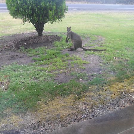 Motel Dimboola Esterno foto